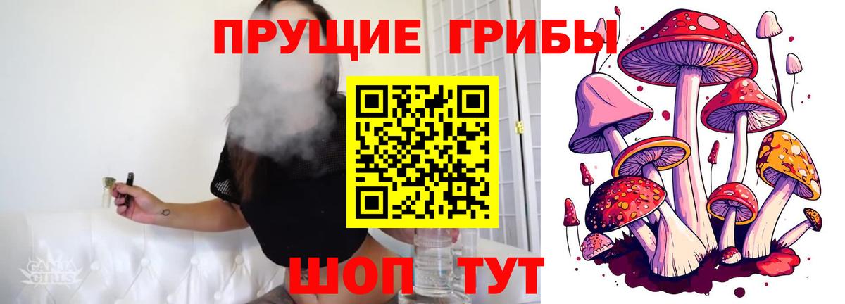 дарнет шоп  Галлюциногенные грибы ЛСД  Ростов Великий  Вход с VPN  Псилоцибиновые грибы GOLDEN TEACHER 