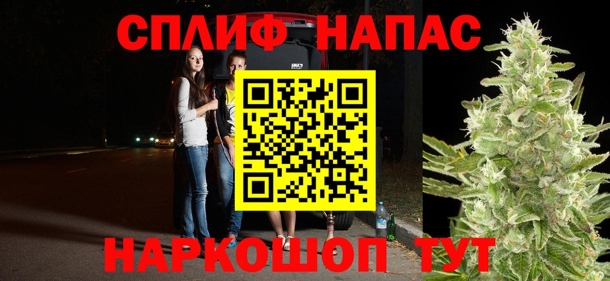 Конопля MAZAR  Каннабис планчик  Вход с VPN  Ростов Великий  Канабис сатива 
